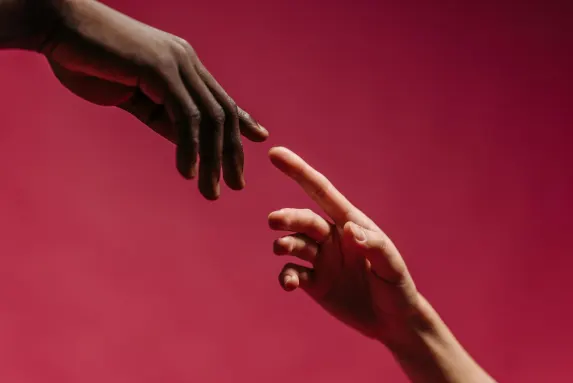 Casino Wild Vegas Support